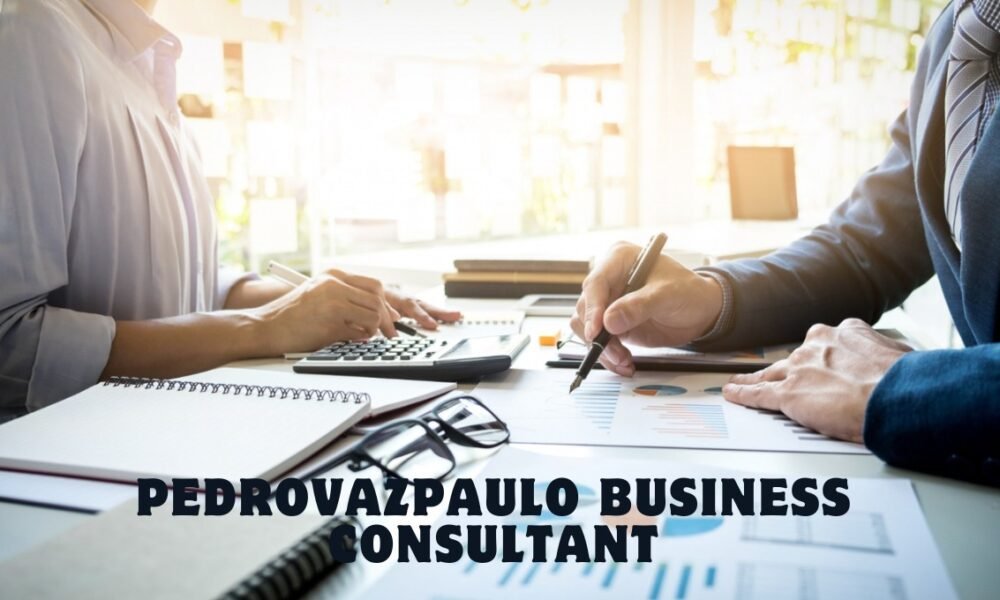 pedrovazpaulo business consultant