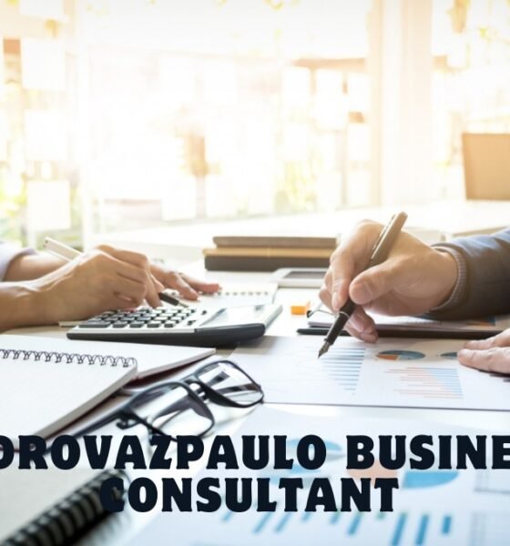 pedrovazpaulo business consultant