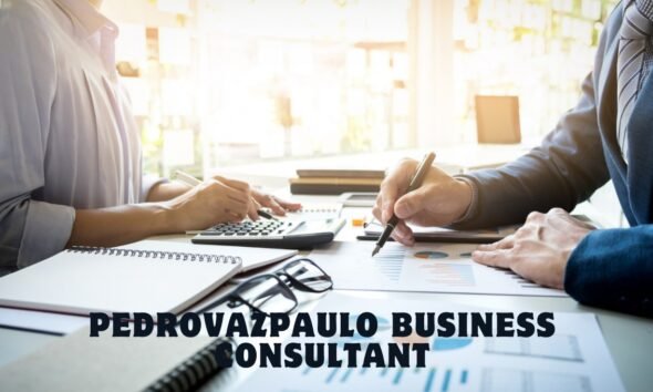 pedrovazpaulo business consultant