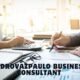 pedrovazpaulo business consultant