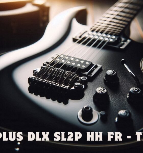 pro plus dlx sl2p hh fr - tr blk