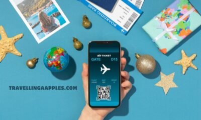 travellingaapples.com