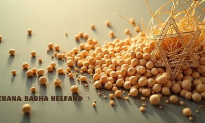 Chana Badha Helfand