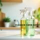 Cleaner Guru Reviews