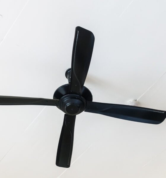 Ceiling Fans